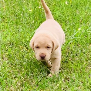 Meet your Posher, Travis